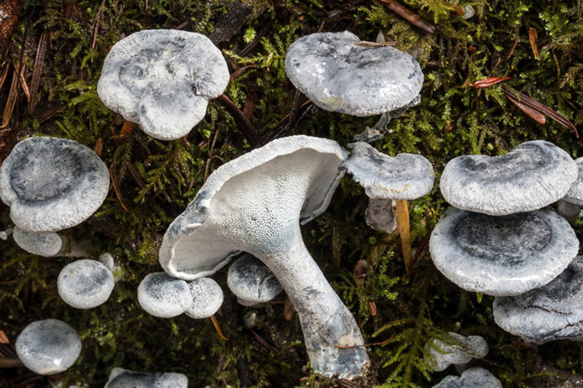 20180330_130236.jpg