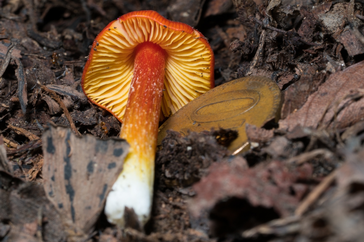 YDY03091.jpg