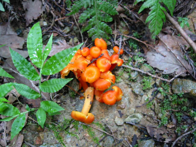 100-0001_IMG.JPG