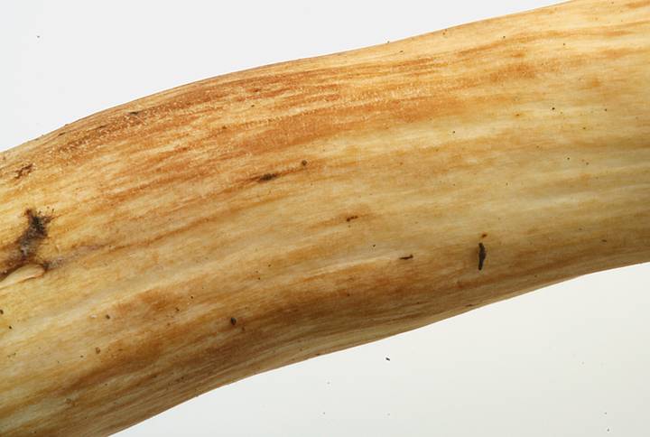 tps006a-06.jpg