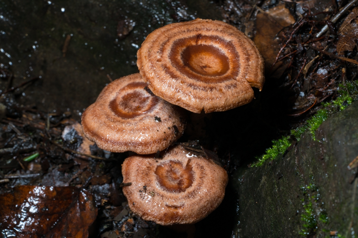 YDY03821.jpg