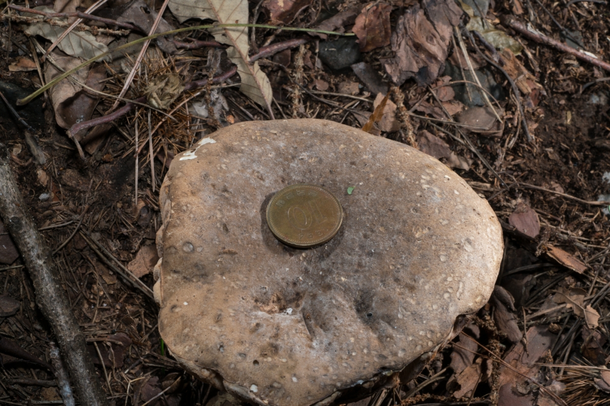 YDY03685.jpg