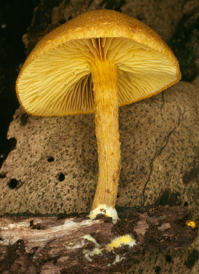 20p (5).jpg