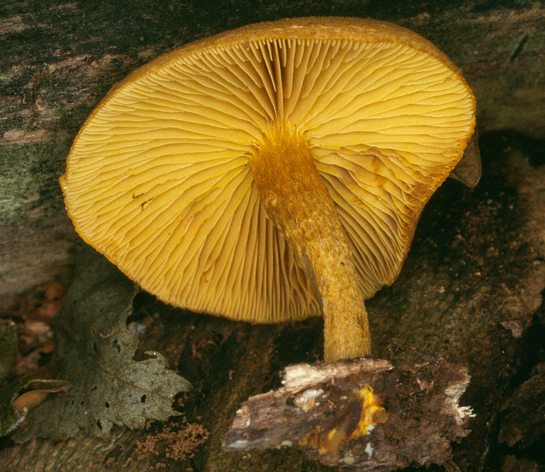 20p (4).jpg