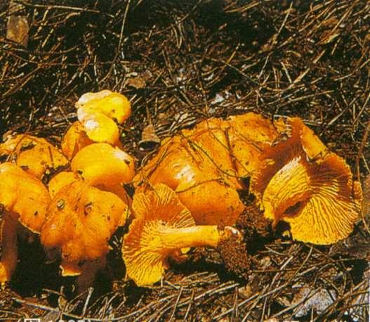 201404111140384561.jpg