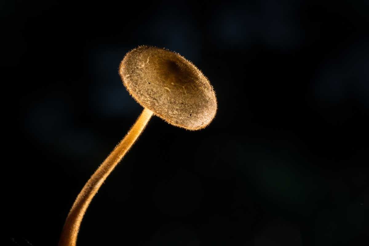 YDY08322.jpg