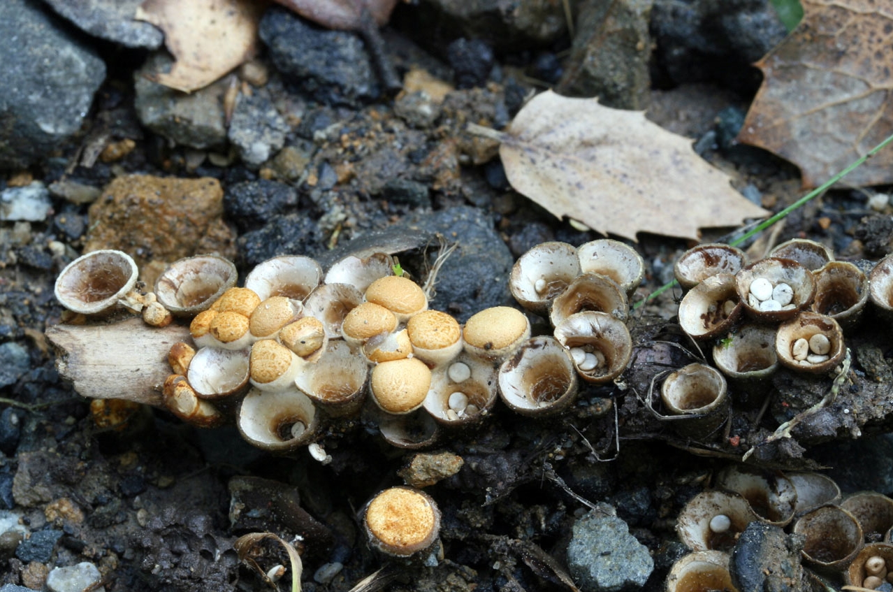20170111_091502.jpg