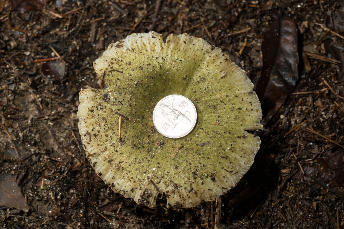 YDY02779.jpg