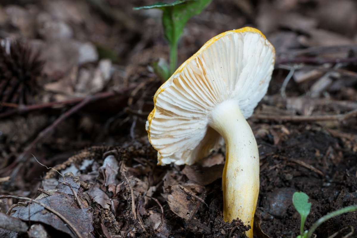 DSC04573.jpg
