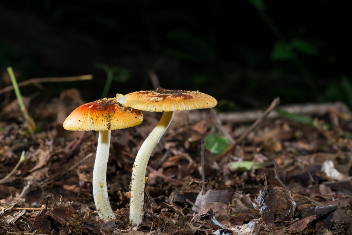 YDY03249.jpg