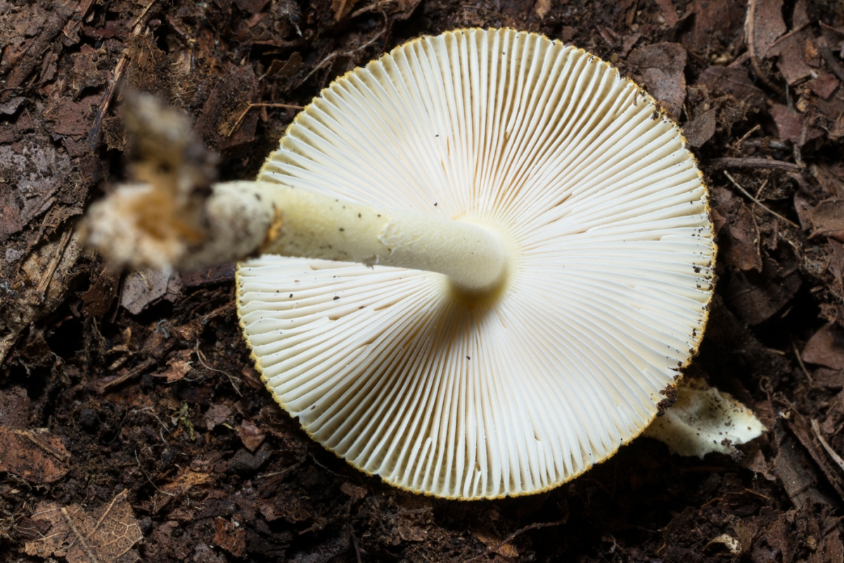 YDY03270.jpg