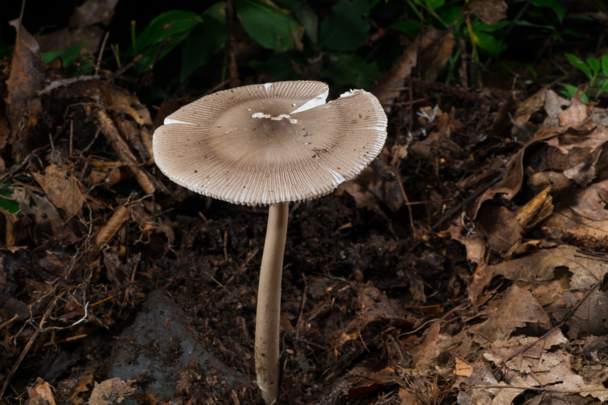 YDY04498.jpg
