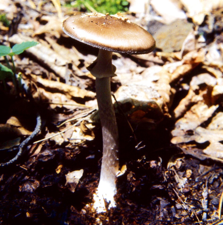7EPVP4I5.jpg