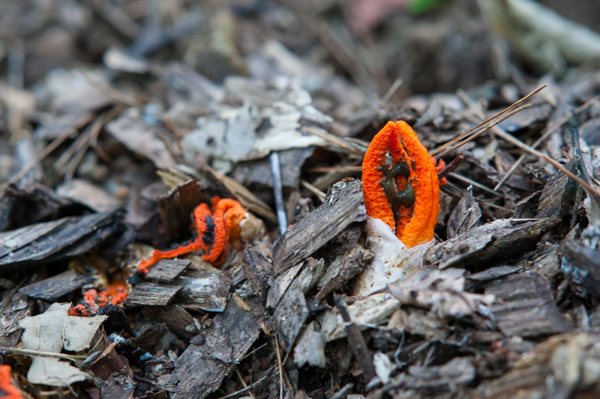 DSC09363.jpg