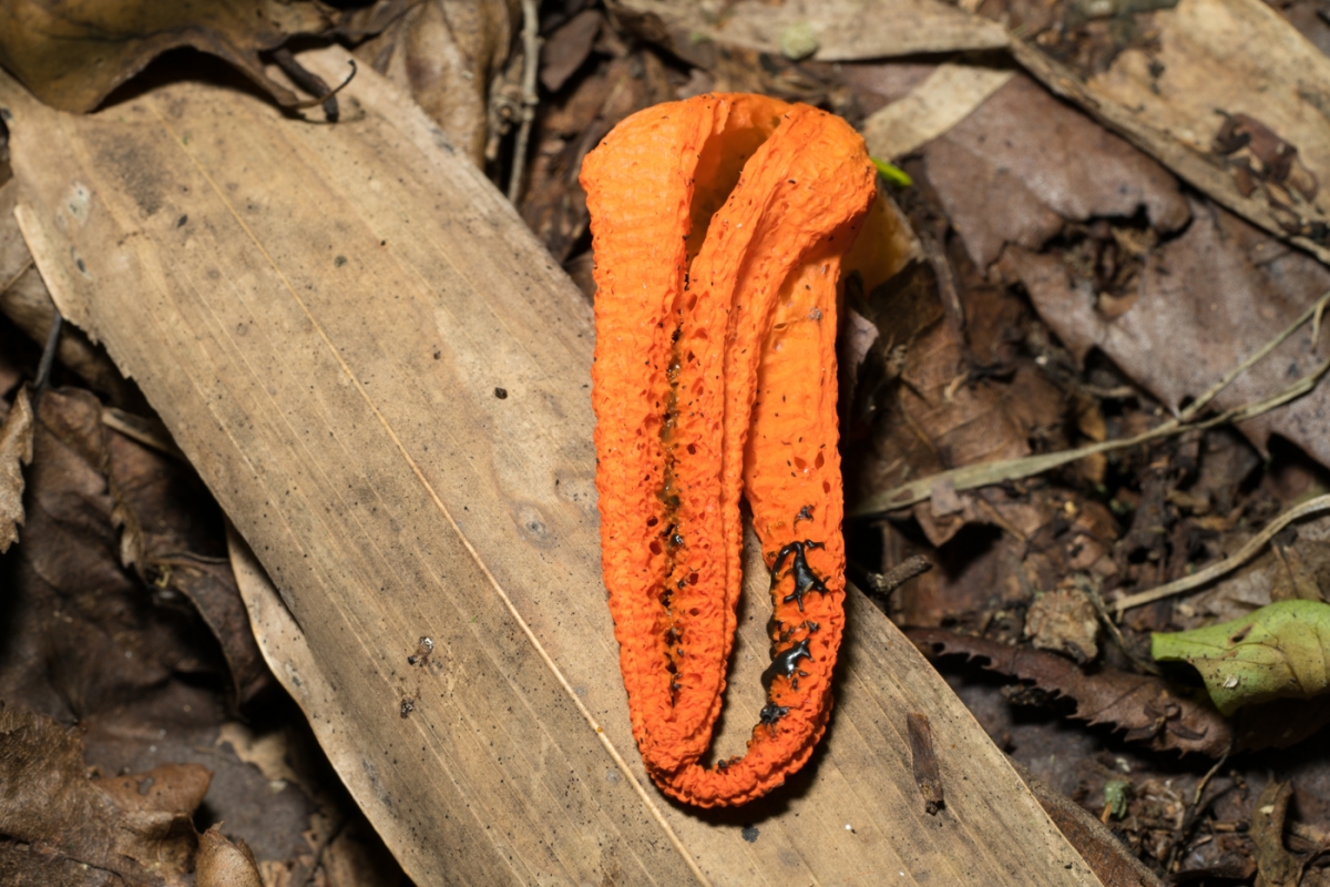 YDY02905.jpg