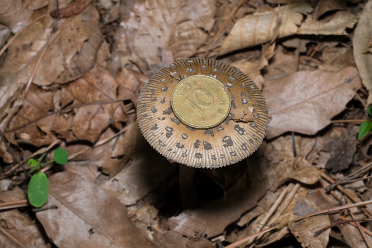 YDY05387.jpg