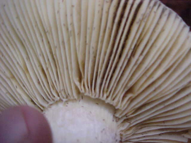 24025.jpg