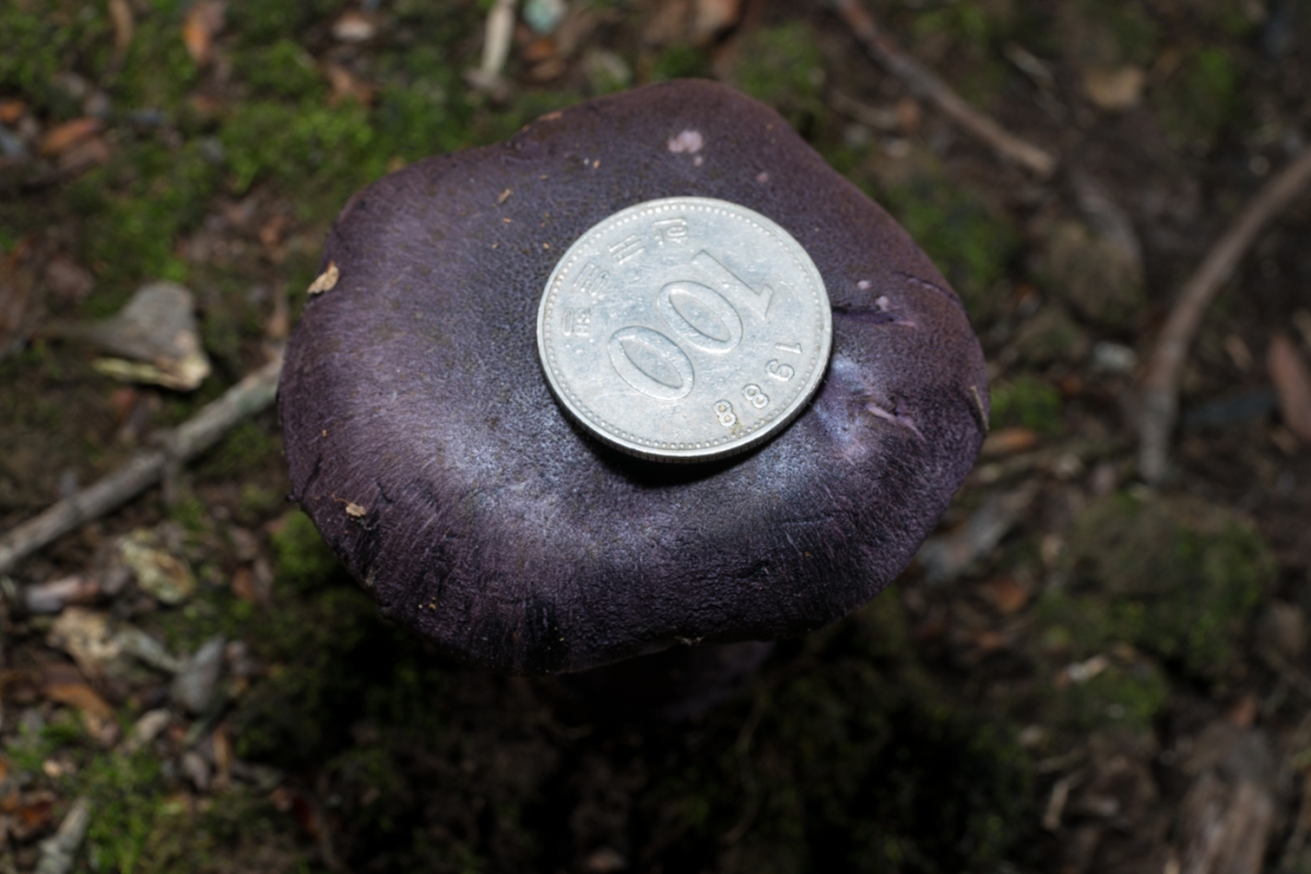 YDY03410.jpg