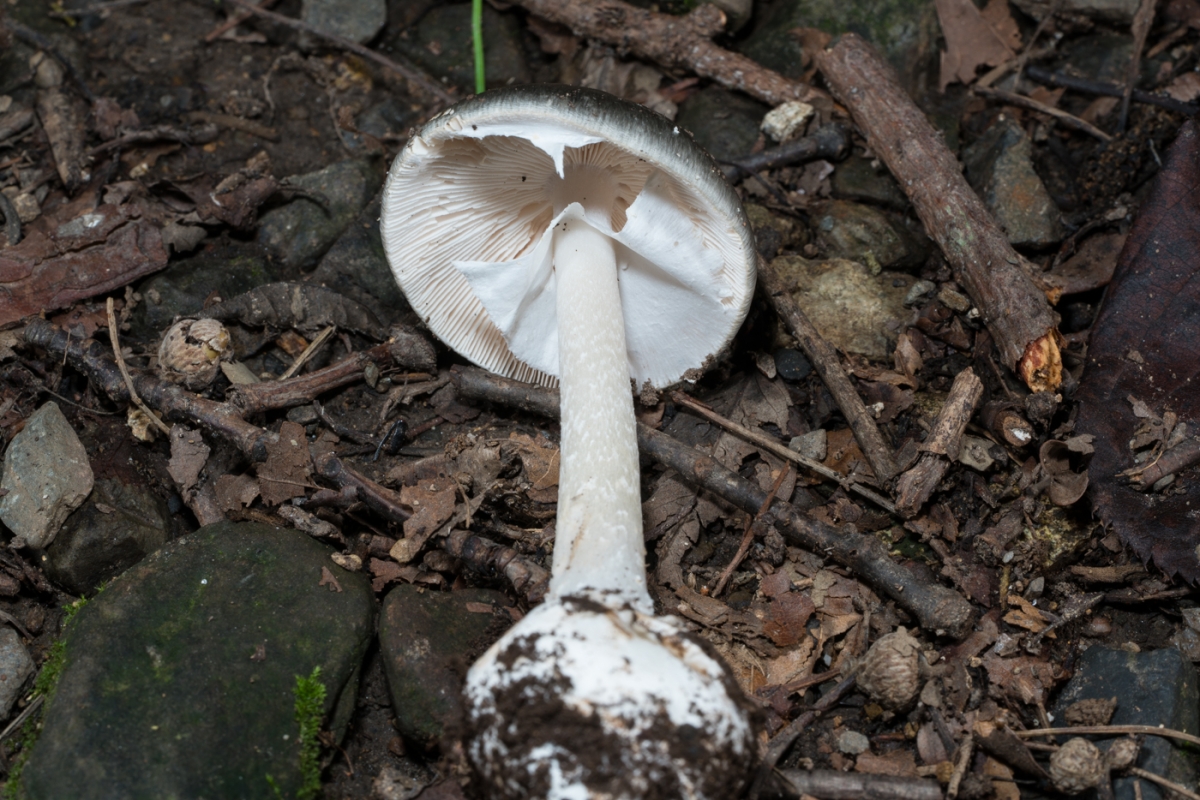 YDY04416.jpg