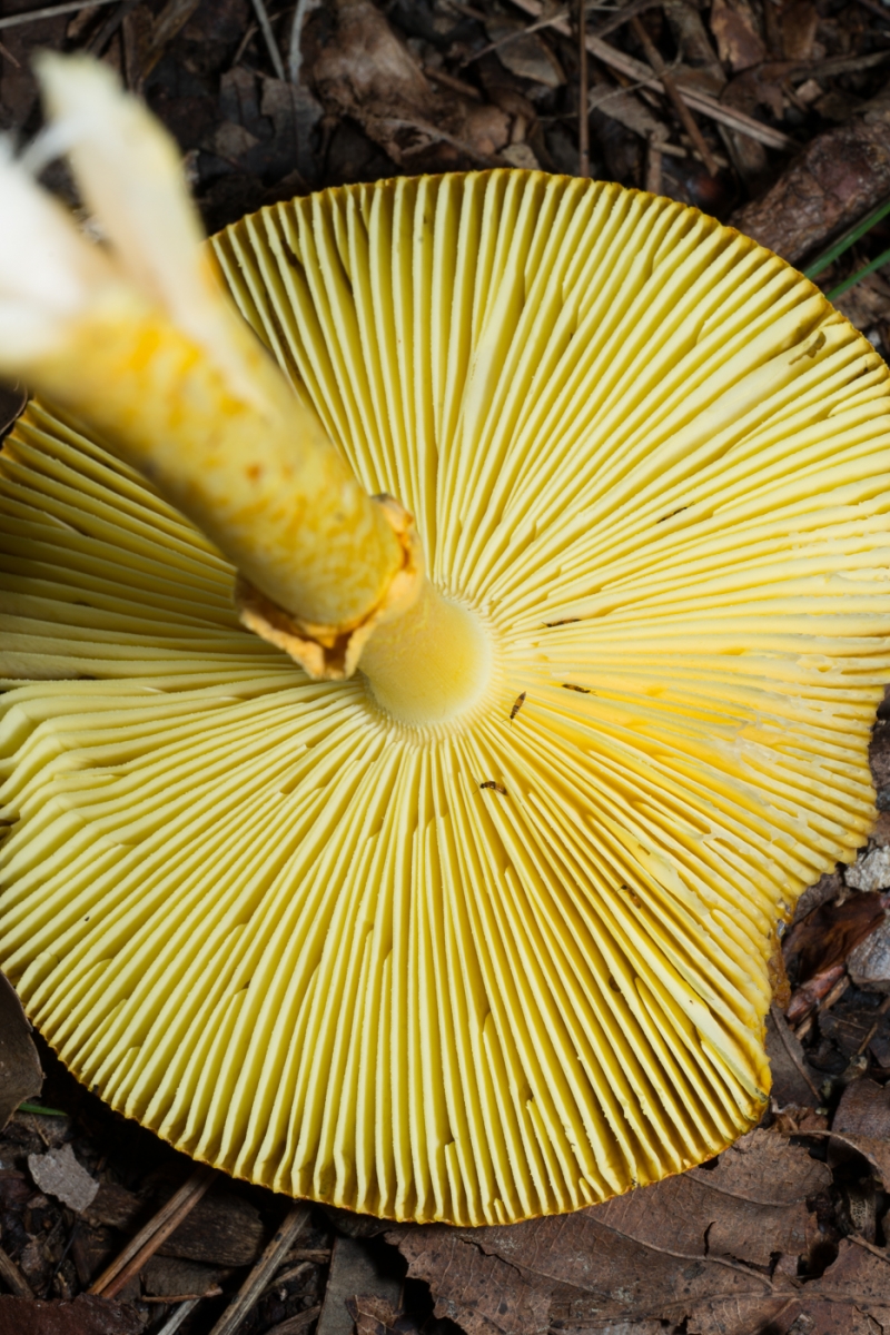 YDY05693.jpg