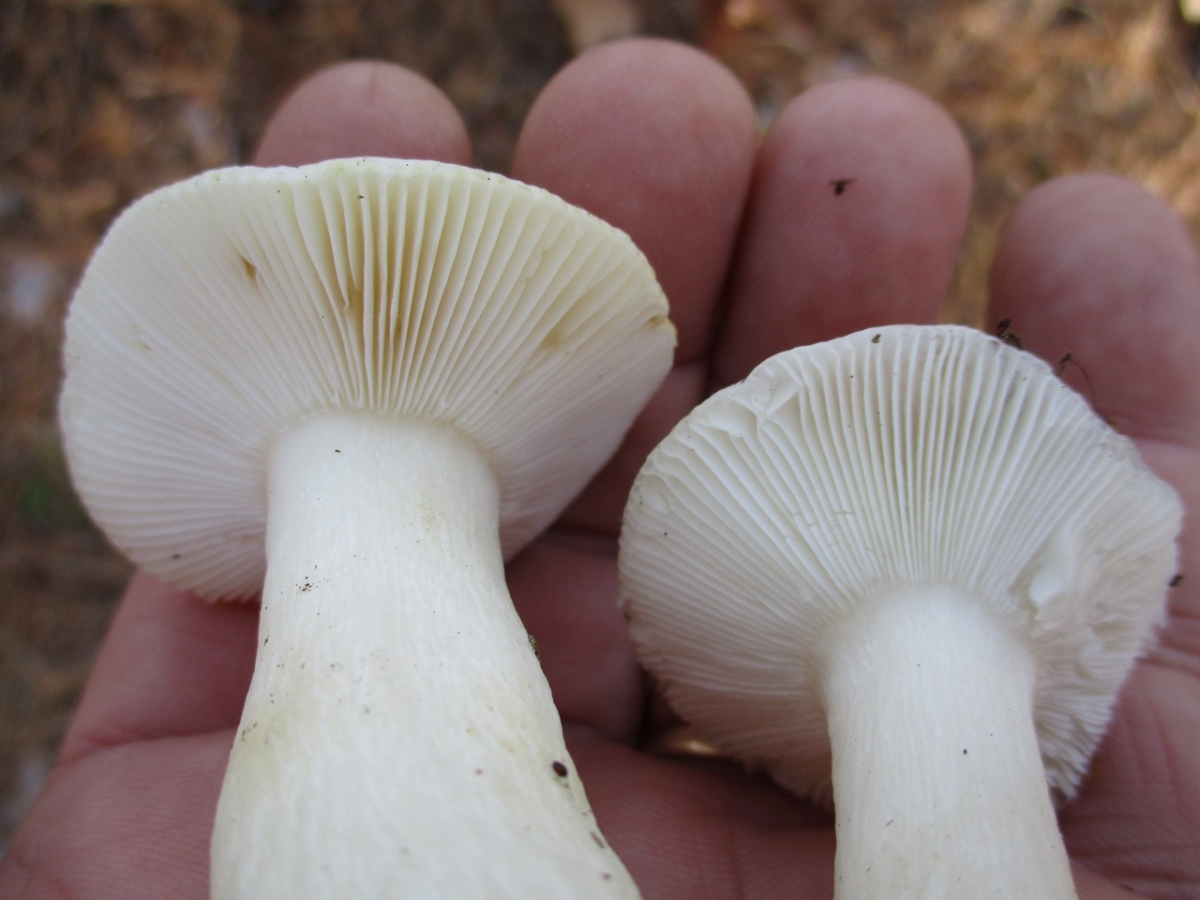695775.jpg