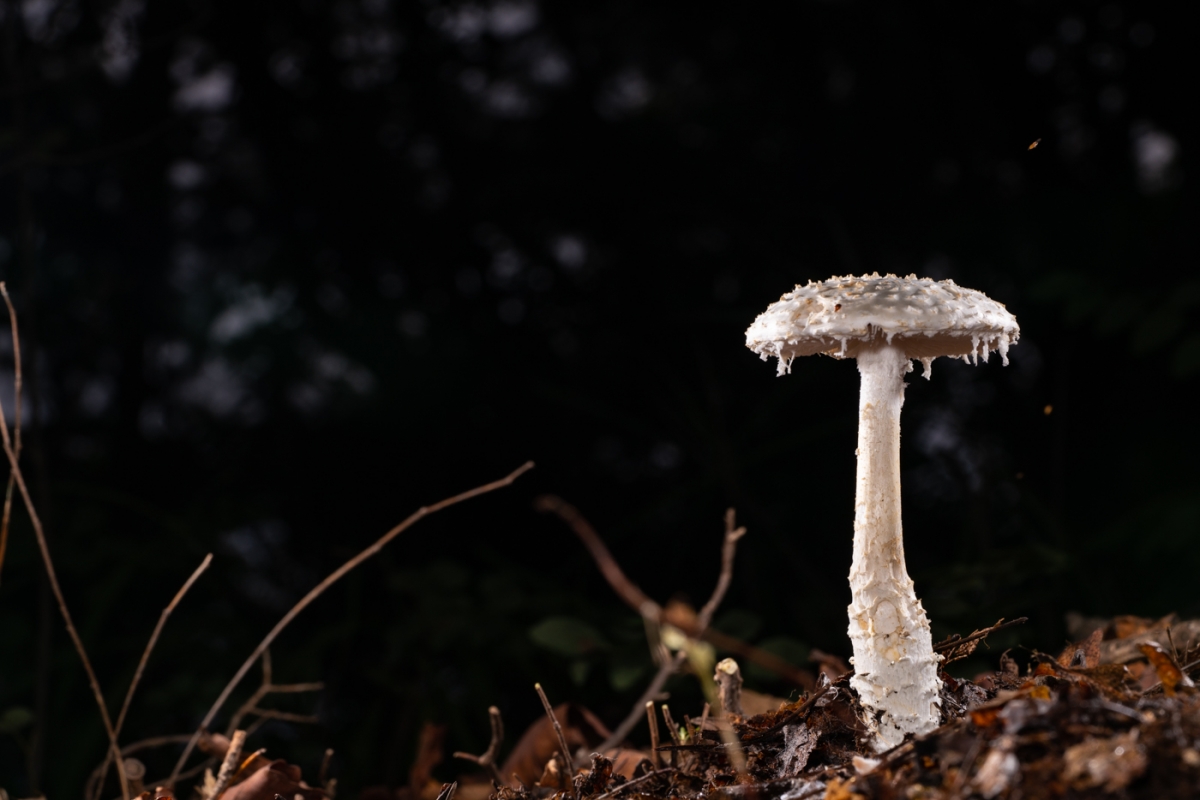 YDY09802.jpg