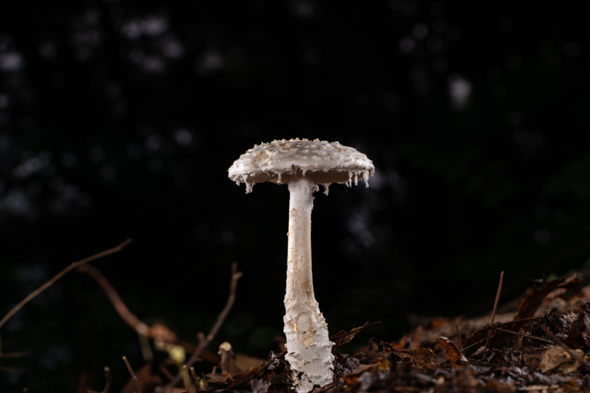 YDY09798.jpg