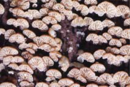 mb-32-57-g015-l.jpg