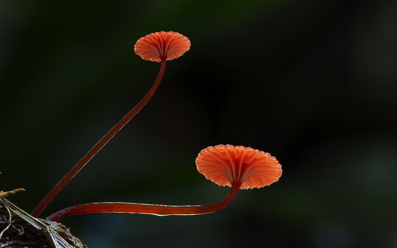 _C144221-Edit-X2.jpg