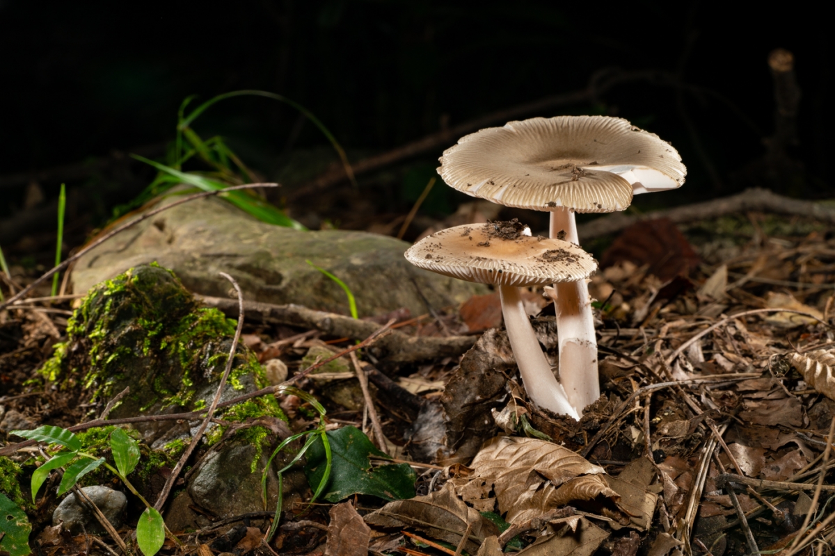 YDY00275.jpg
