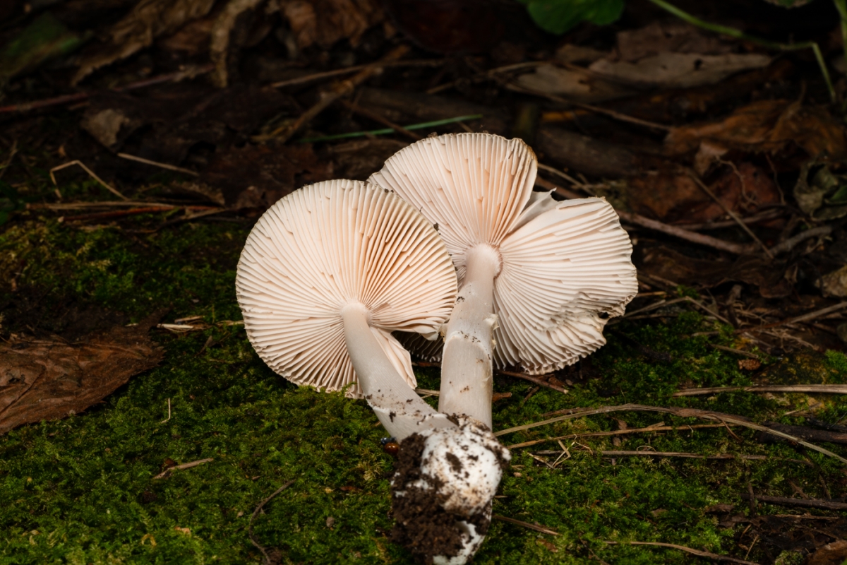 YDY00286.jpg
