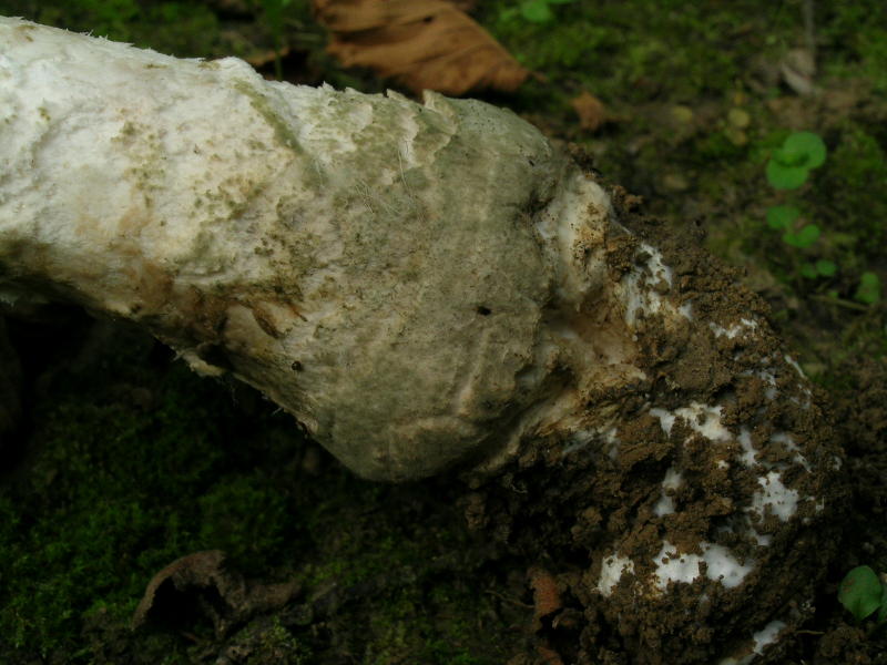 06-dscn9984_800x600.jpg