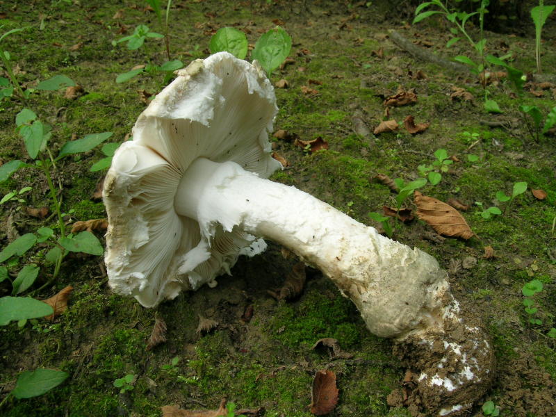 02-dscn9981_800x600.jpg