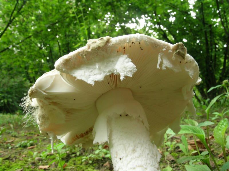 03-dscn9975_800x600.jpg