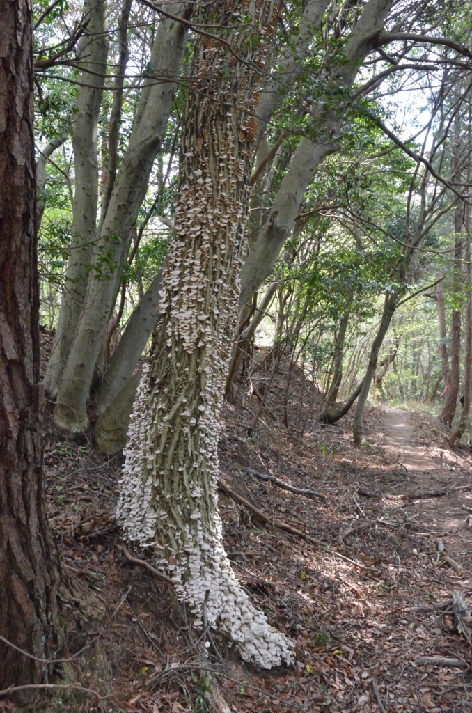 20170501133716.jpg