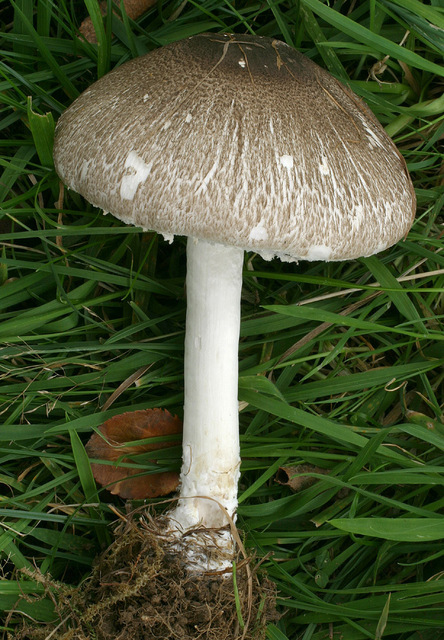 20p (3).jpg