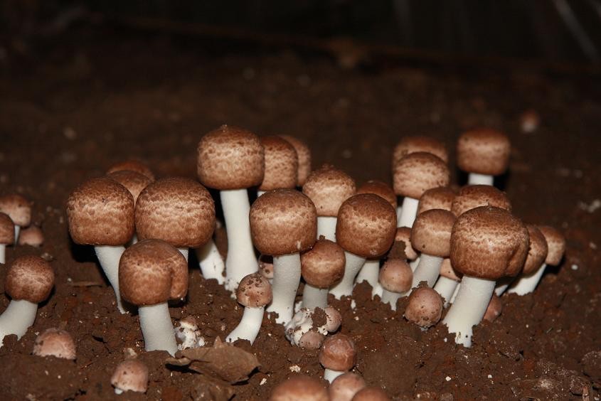 e5de59b526c409245ba2d1934176f4c5.jpg