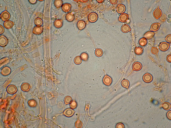011r.jpg_2009121920348_011r.jpg