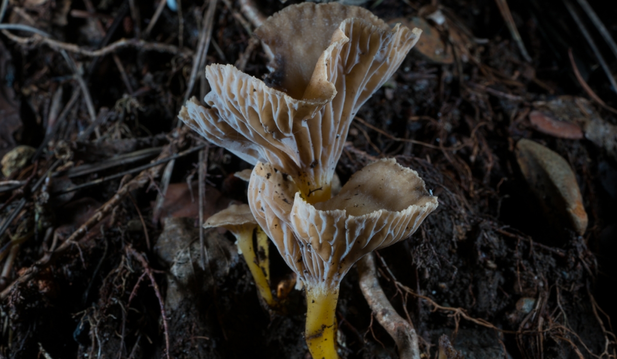 f4eac9ccc9df9870418b489a37ae1fd0.jpg