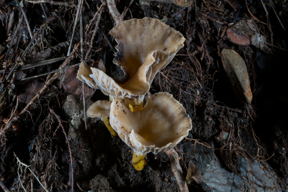 1e63661547d5998e6bc609a7a5c47207.jpg