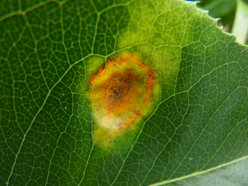 20110716151816.jpg