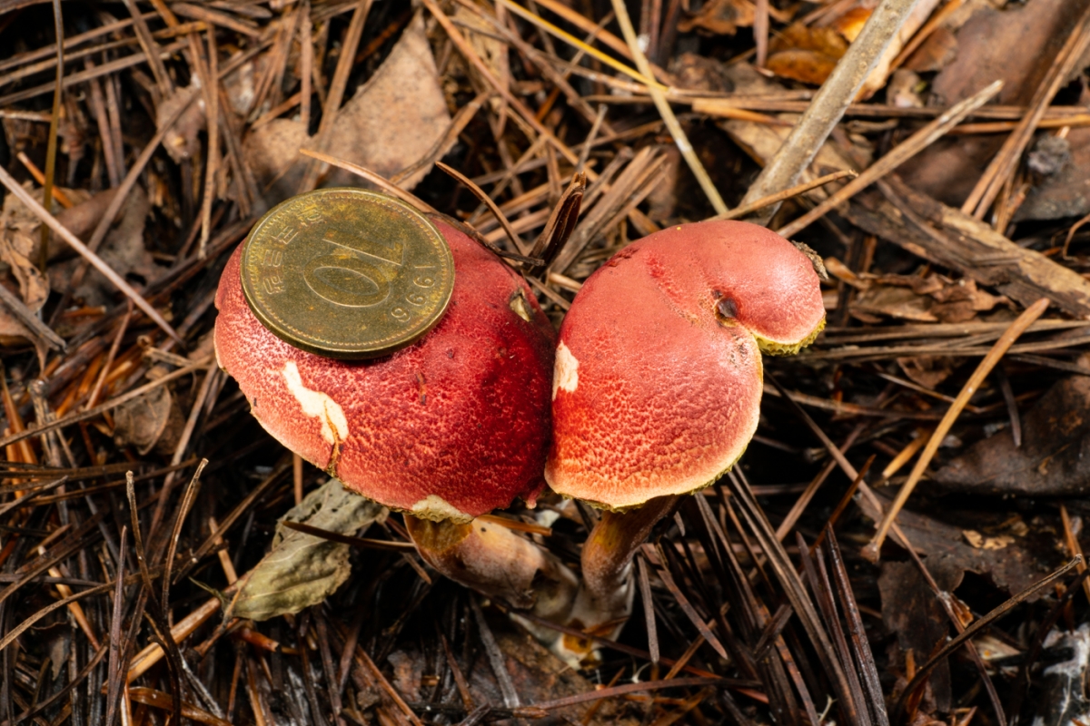 YDY01051.jpg