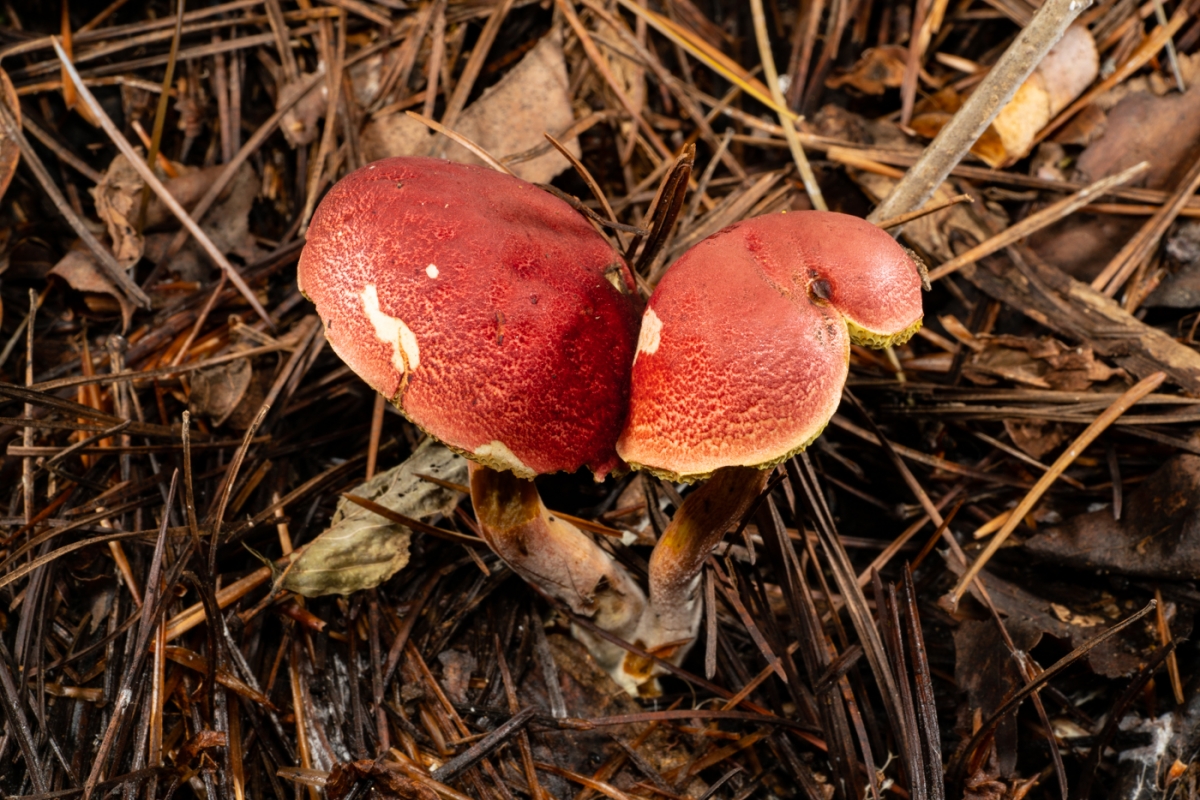 YDY01049.jpg