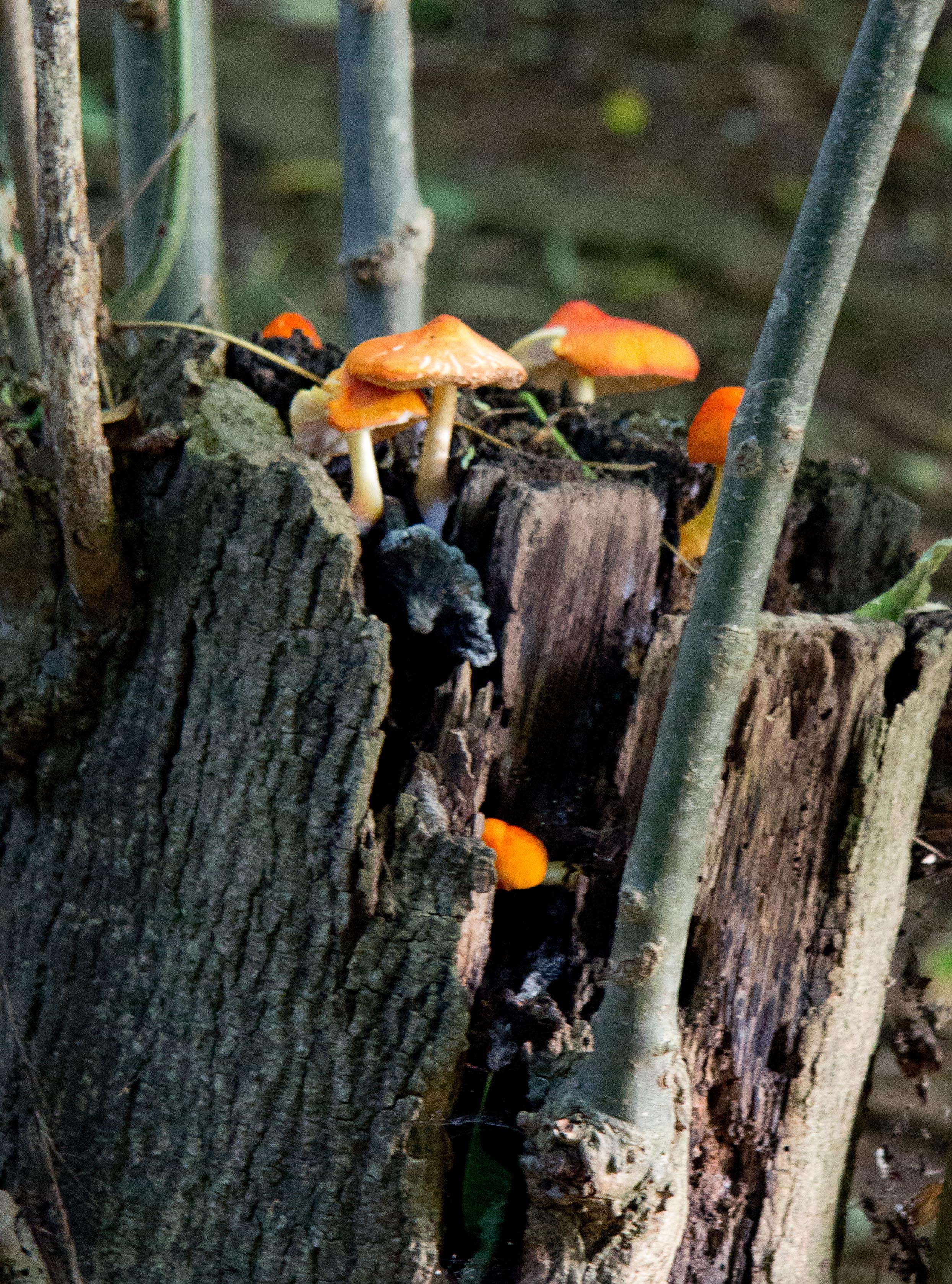img_6115-2.jpg