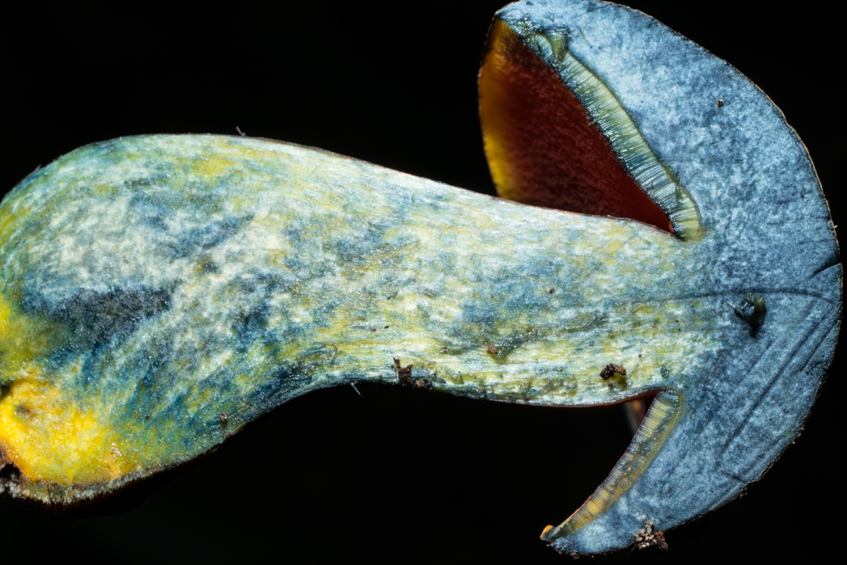 YDY03729.jpg