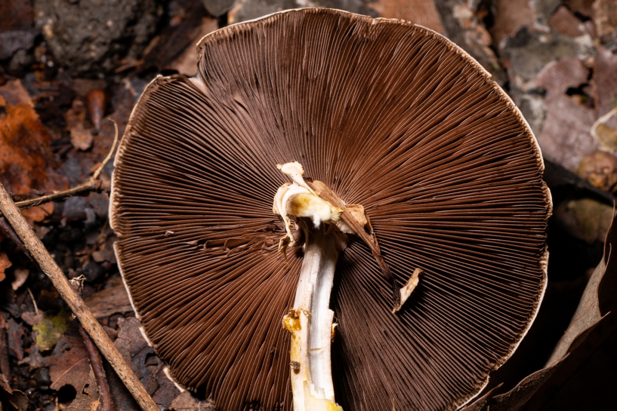 YDY09887.jpg