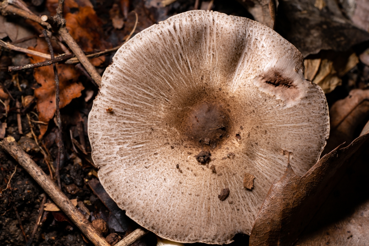 YDY09888.jpg