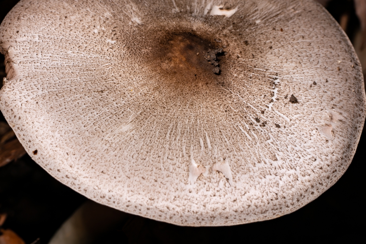 YDY09891.jpg