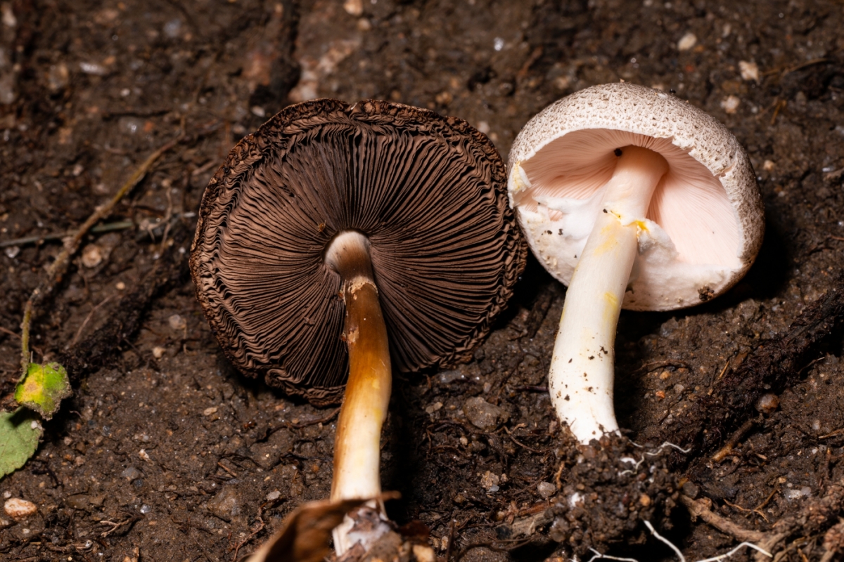 YDY09877.jpg