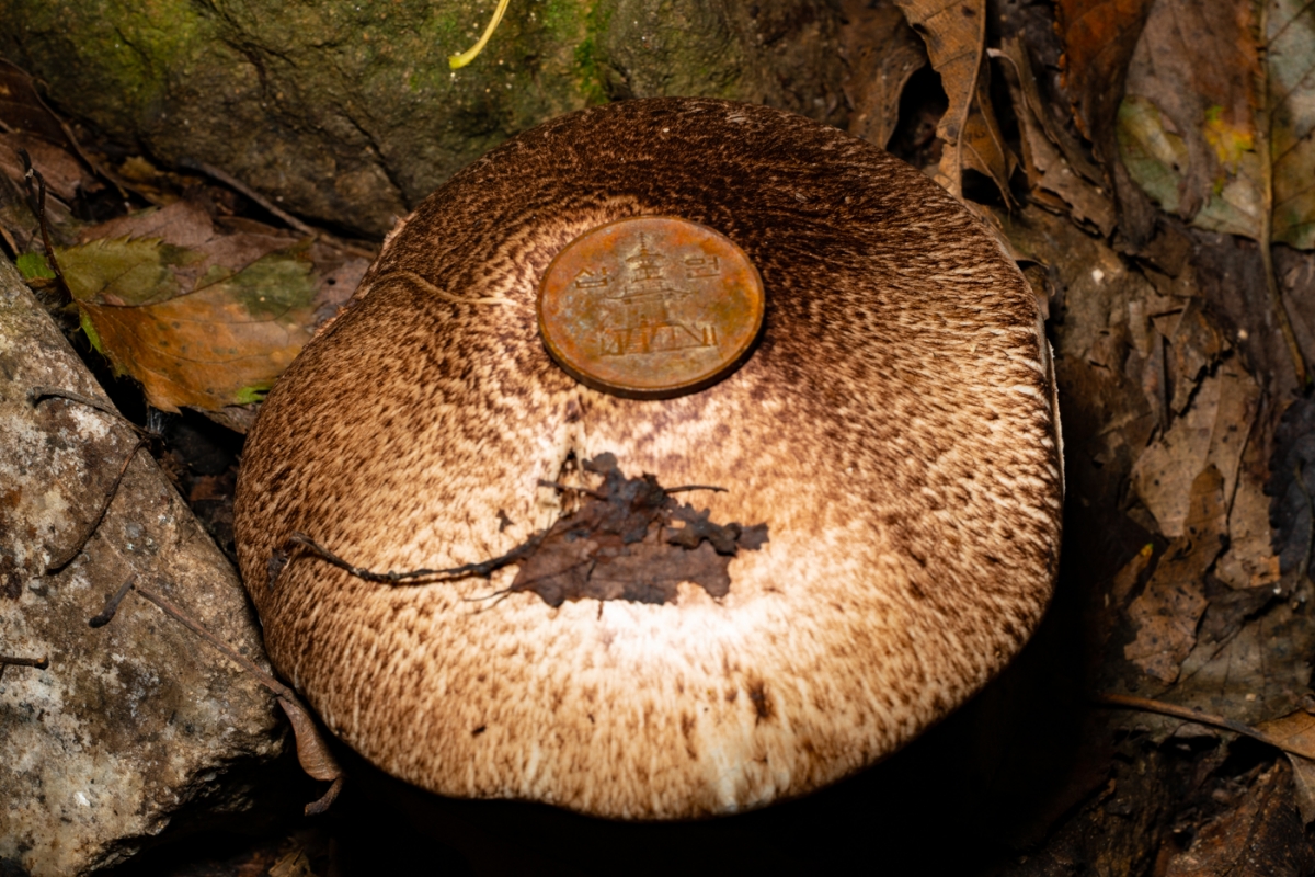 YDY00959.jpg
